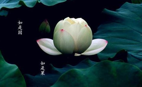 泰国情降师傅微信群聊名字，泰国情降真的能挽回吗