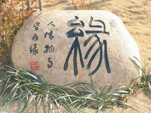 贴湾暖情降，阿联酋布扎比