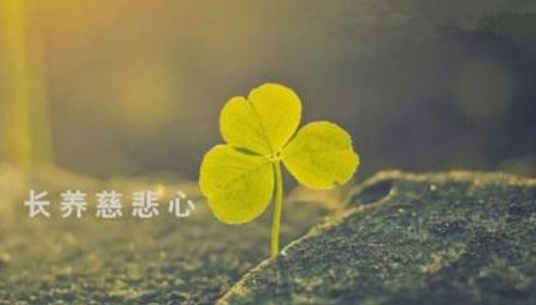 有人懂泰国情降吗视频播放，泰国情降效果怎么样